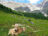 Graubuenden