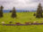 Waadt-Grands-Plats-de-Bise