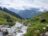 von-der-biodiversitaet-auf-der-alpweide-5